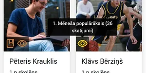 Raksta bilde
