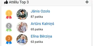 Raksta bilde